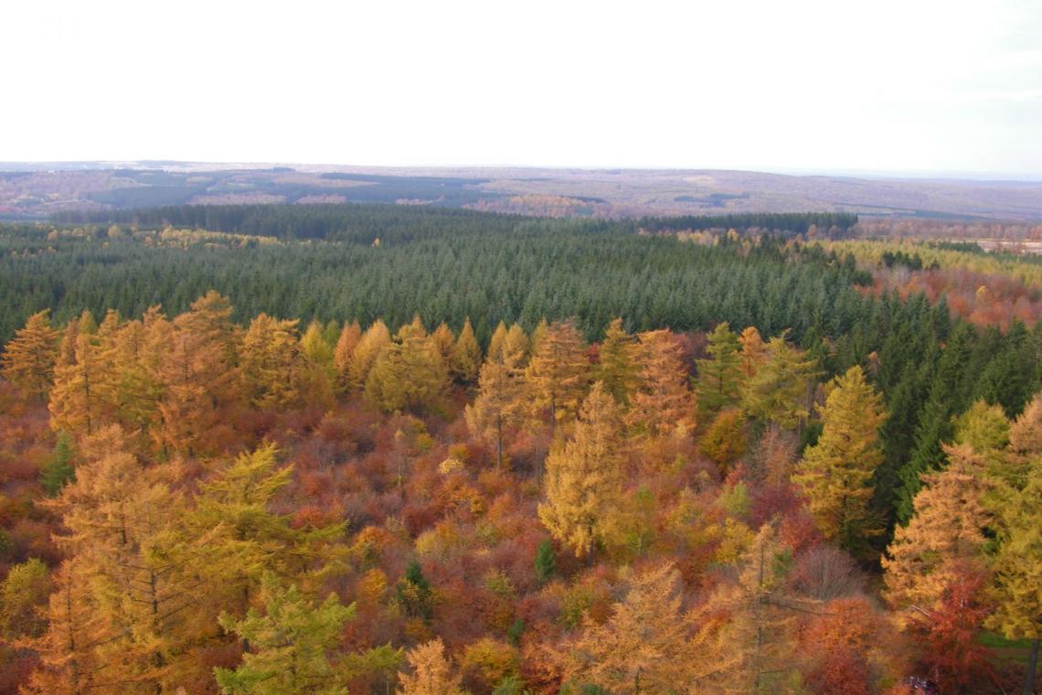 Le massif de la Croix-Scaille au fil des saisons | Tour du millénaire