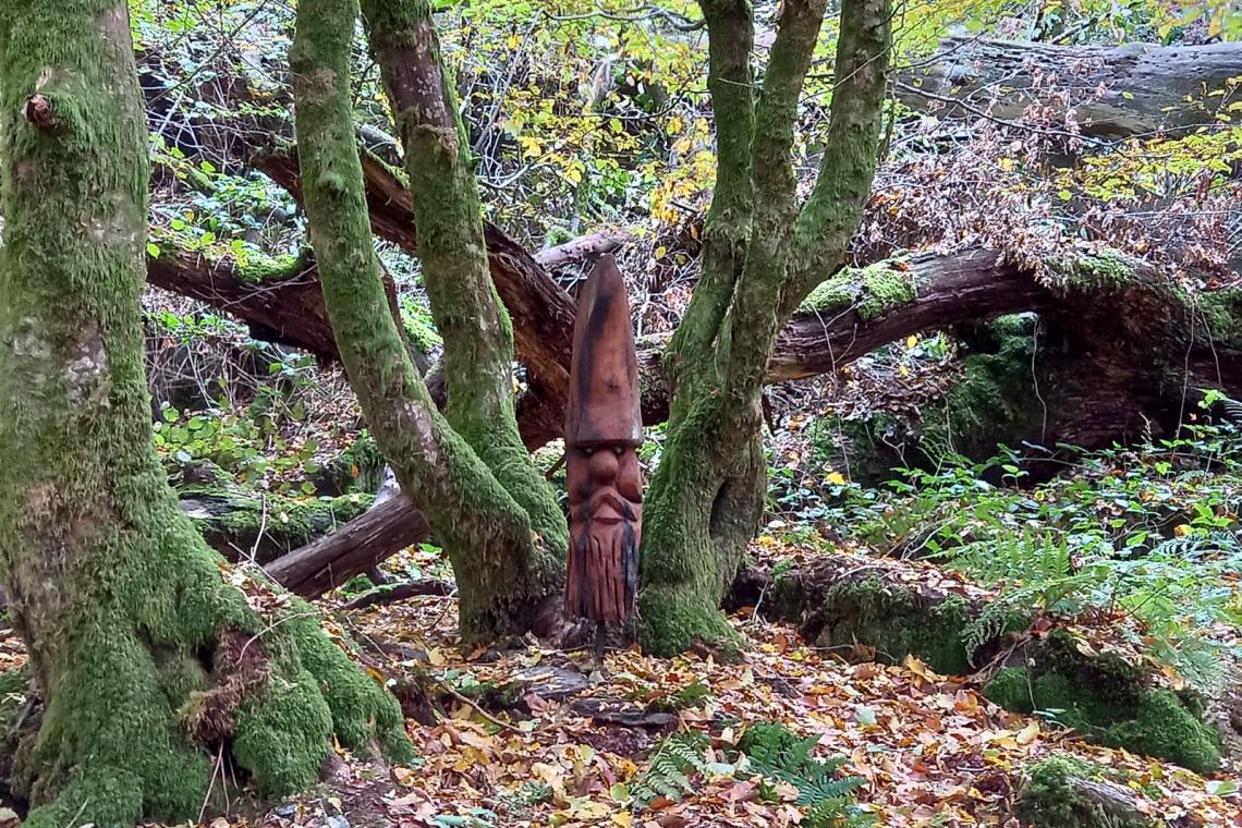  - Parc naturel de l'Ardenne Méridionale