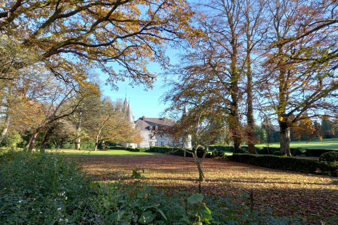 Château | Laboratoire de la vie rurale | Fermes multicellulaires et espace rue