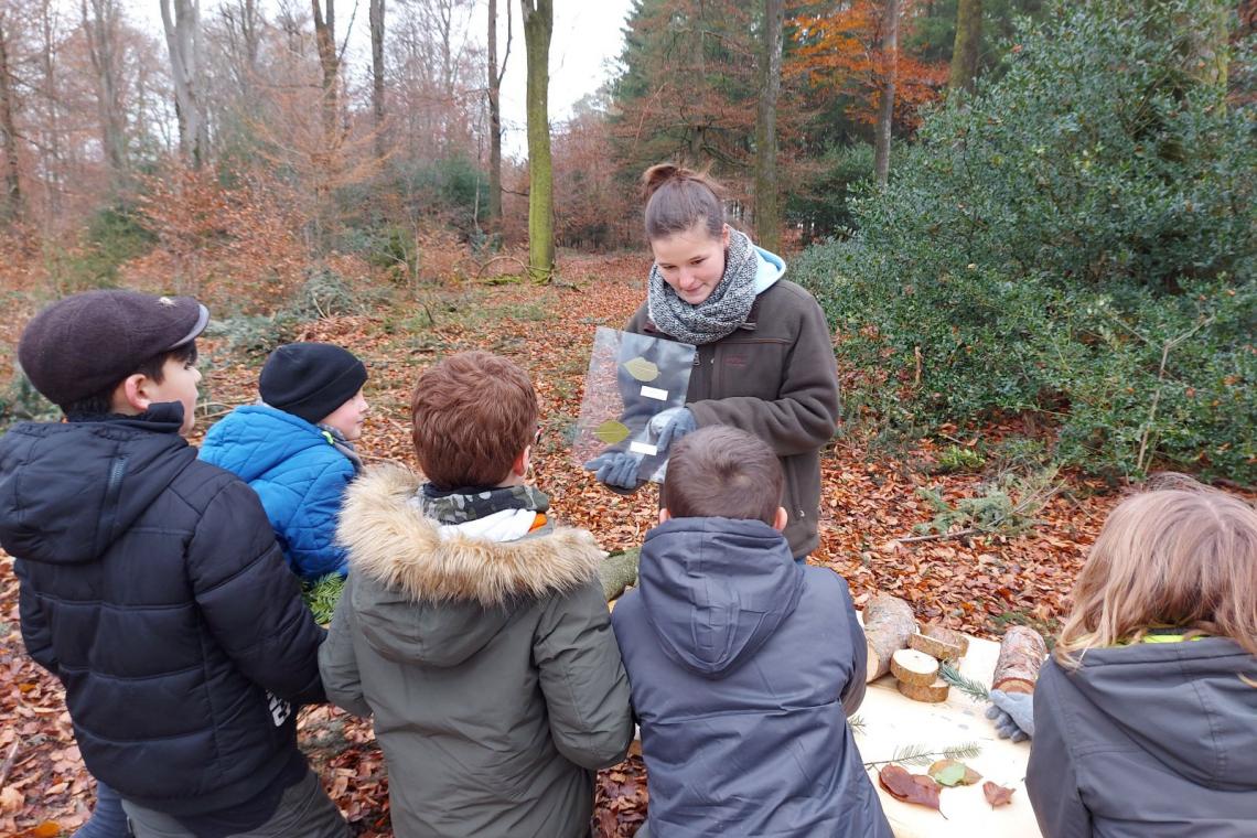 Animation avec les écoles - Parc naturel de l'Ardenne Méridionale