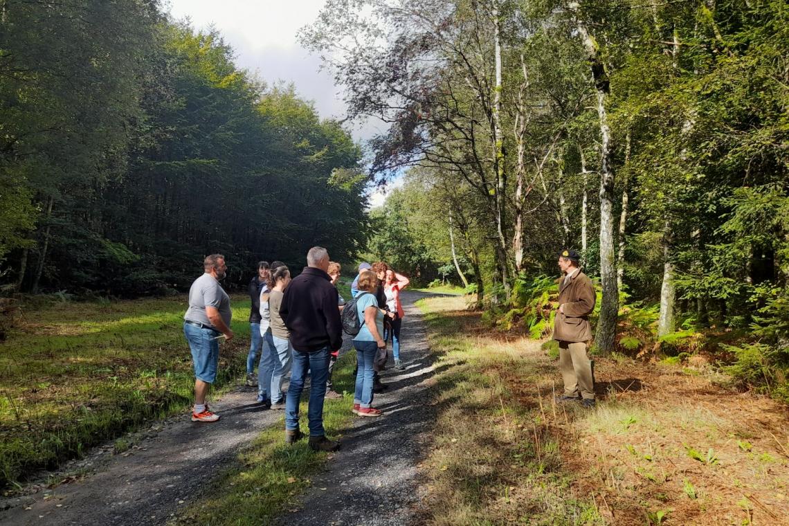 Le maquis de la Croix-Scaille, Gedinne, ardenne meridionale