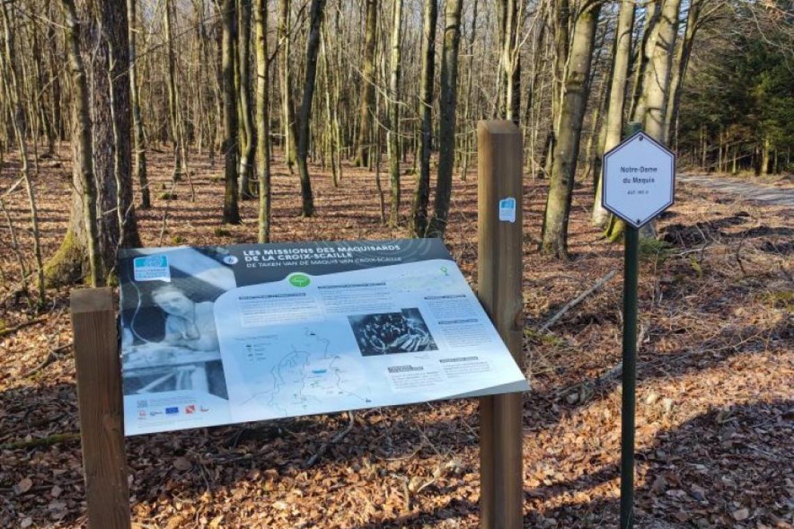 Le maquis de la Croix-Scaille, Gedinne, ardenne meridionale