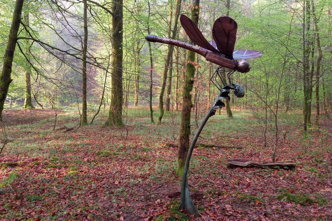 Sentier des Songes, Herbeumont, ardenne méridionale