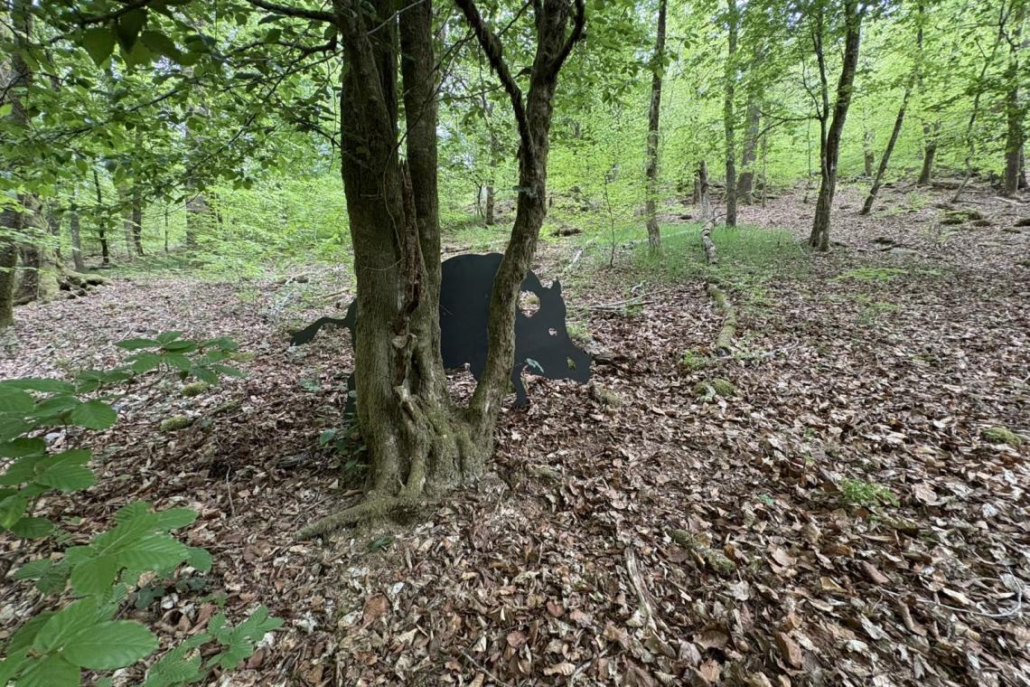 Sentier des Songes, Herbeumont, ardenne méridionale