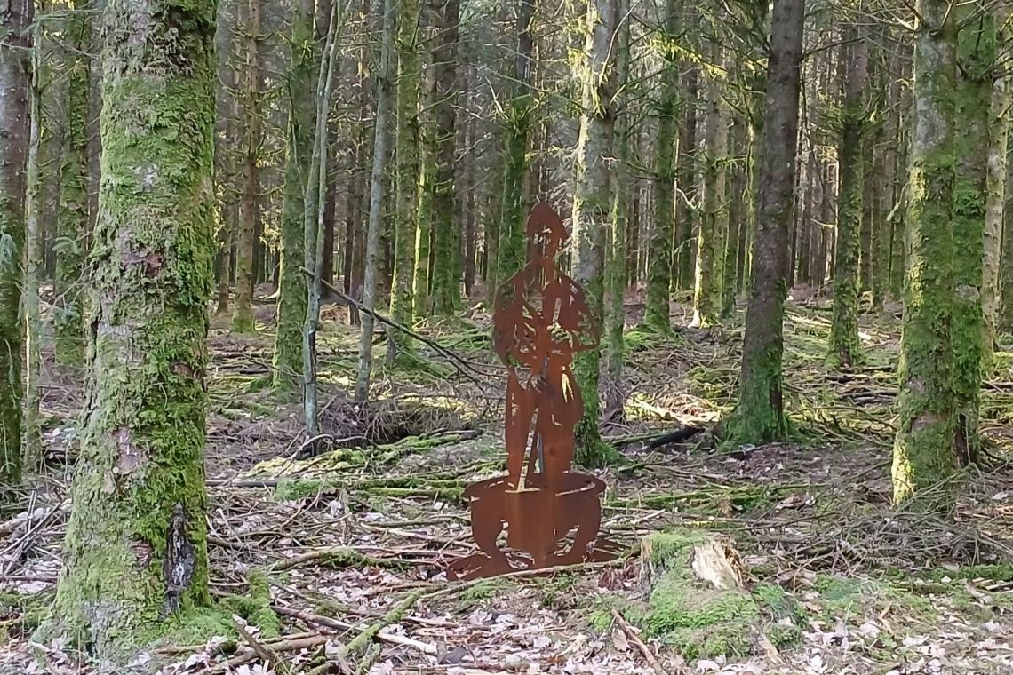 Le maquis de la Croix-Scaille, Gedinne, ardenne meridionale