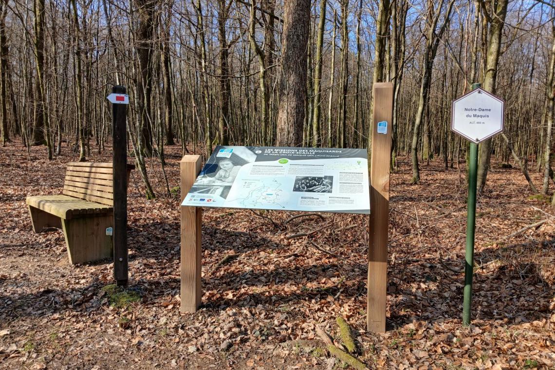 Le maquis de la Croix-Scaille, Gedinne, ardenne meridionale