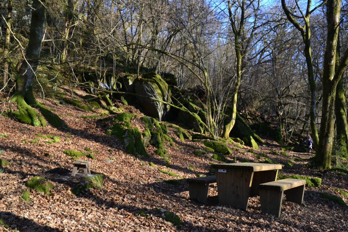 Bois des Nutons, Our, Paliseul, ardenne meridionale