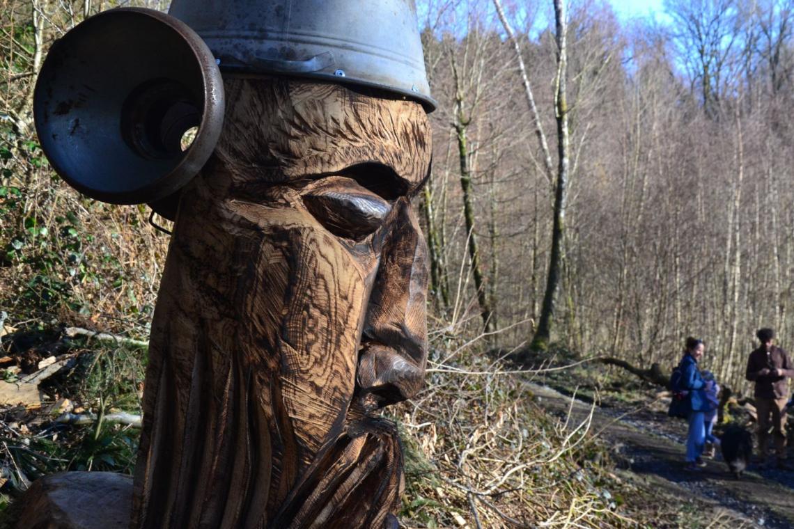 Bois des Nutons, Our, Paliseul, ardenne meridionale