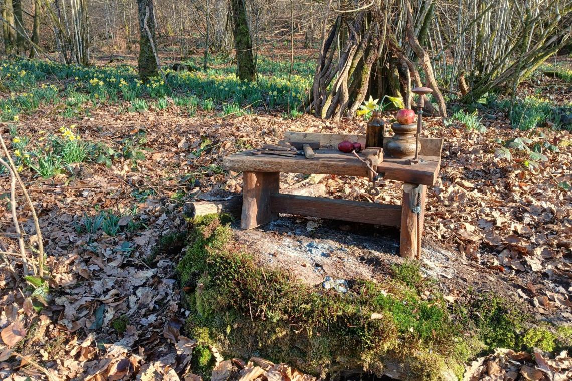 Bois des Nutons, Our, Paliseul, ardenne meridionale