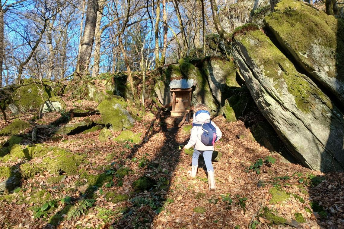 Bois des Nutons, Our, Paliseul, ardenne meridionale