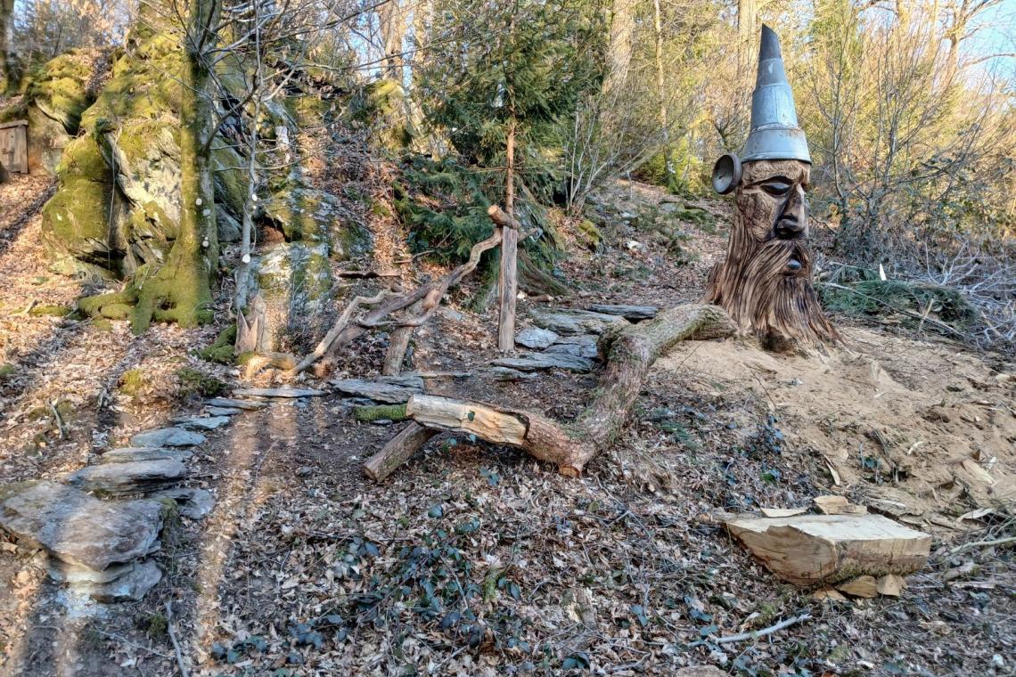 Bois des Nutons, Our, Paliseul, ardenne meridionale