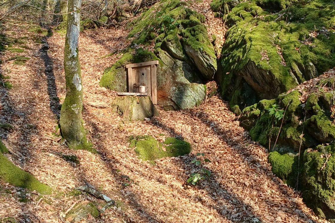 Bois des Nutons, Our, Paliseul, ardenne meridionale