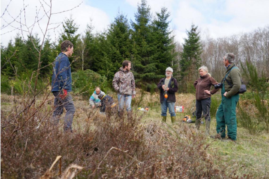 Chantiers participatifs de gestion de la nature - Parc naturel de l'Ardenne Méridionale