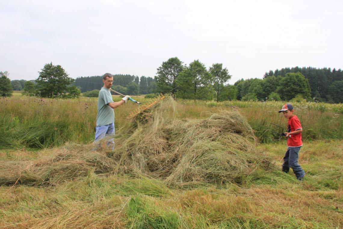 Chantiers participatifs de gestion de la nature - Parc naturel de l'Ardenne Méridionale