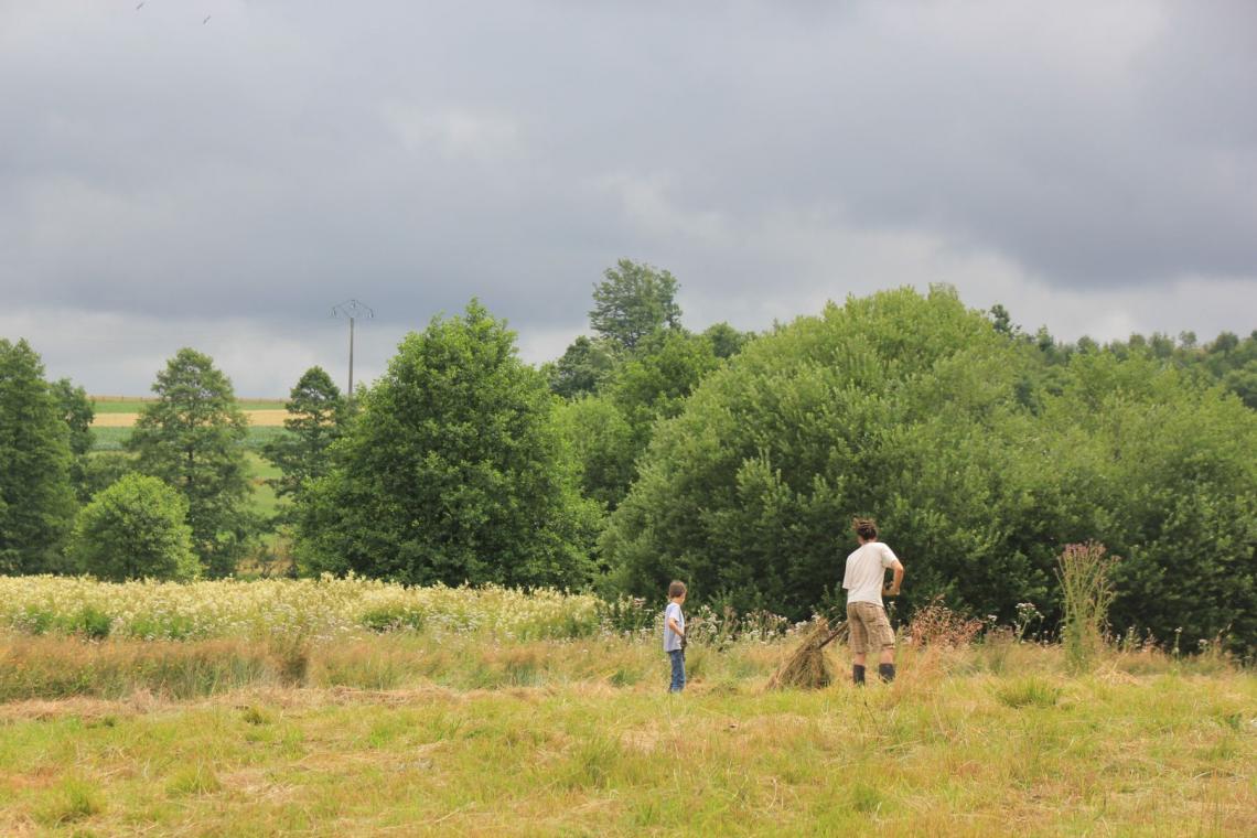 Chantiers participatifs de gestion de la nature - Parc naturel de l'Ardenne Méridionale