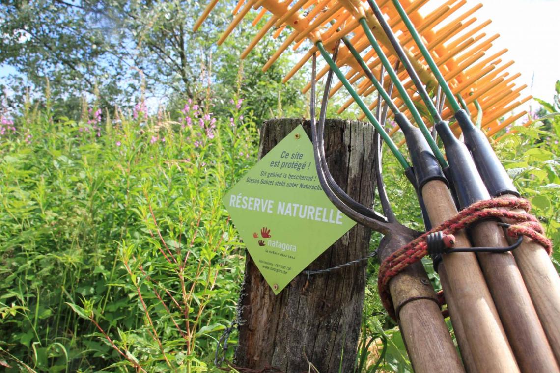 Chantiers participatifs de gestion de la nature - Parc naturel de l'Ardenne Méridionale