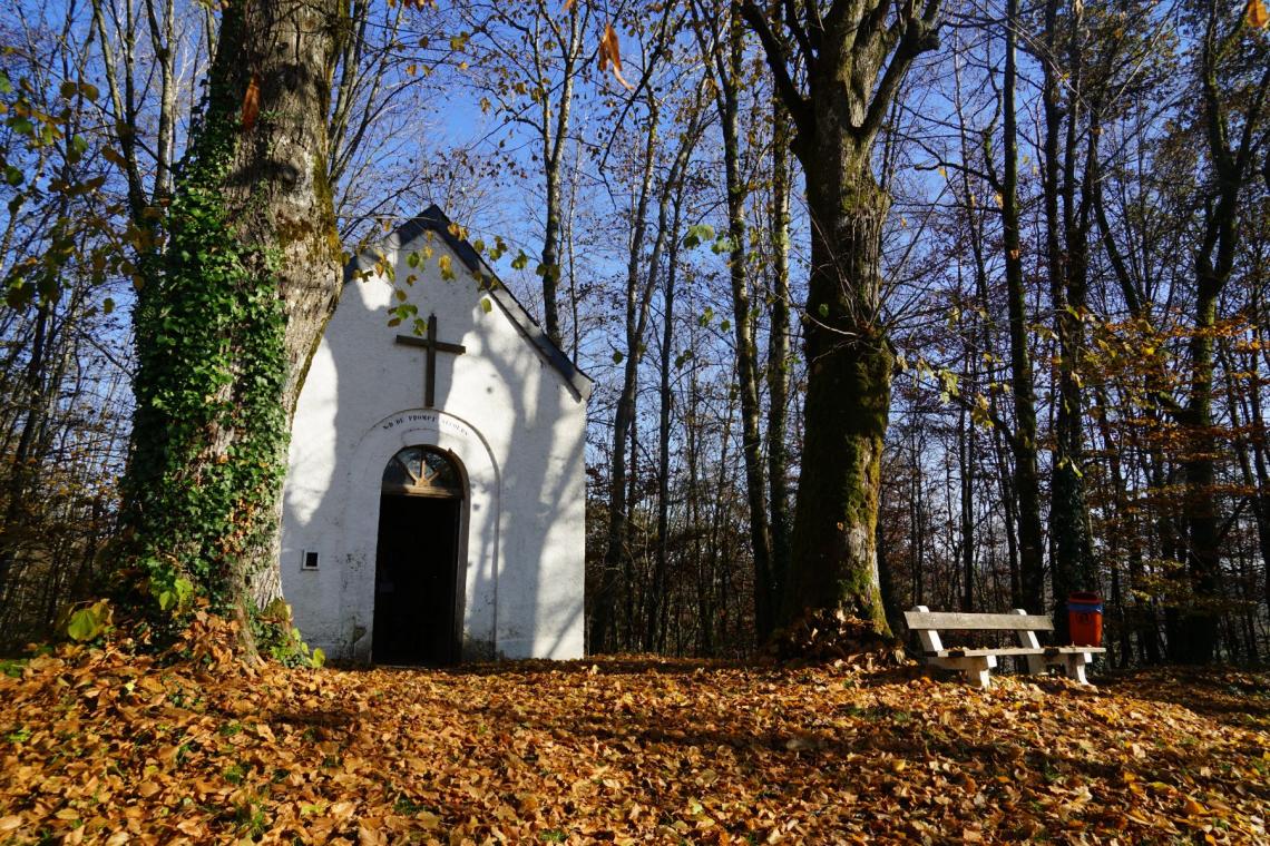 Point de vue du Mergyre - ©Chapelle : M. Gillet