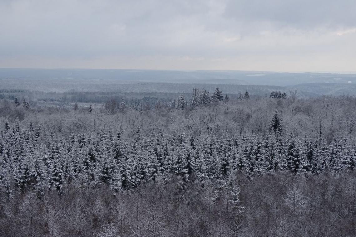 Le massif de la Croix-Scaille au fil des saisons | Tour du millénaire