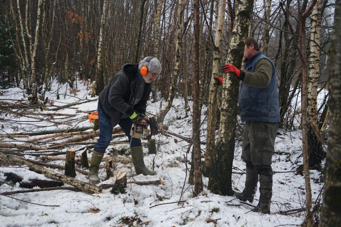 Chantiers participatifs de gestion de la nature - Parc naturel de l'Ardenne Méridionale