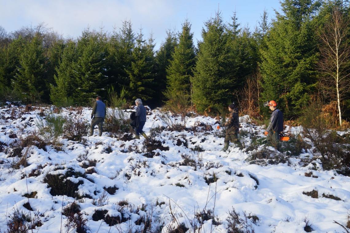 Chantiers participatifs de gestion de la nature - Parc naturel de l'Ardenne Méridionale