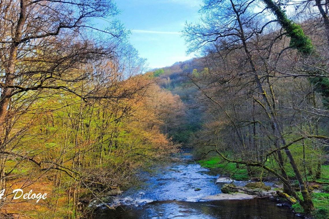 Daverdisse, Porcheresse, Haut-Fays, Almache, Lesse, Ardenne, forêts, prairie