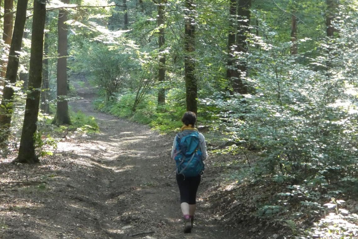 Arrêts Verts, randonnée, itinéraire, gare, sncb, Ardenne méridionale, Parc naturel, zéro carbone