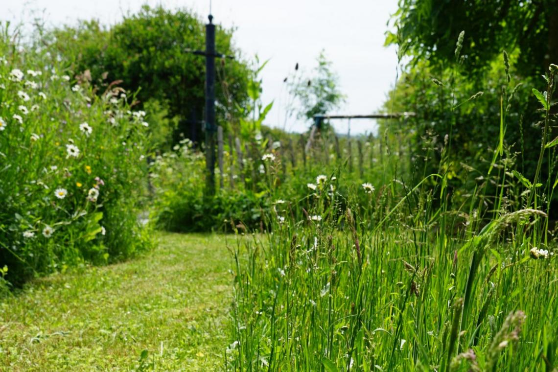 Jardin au Naturel  ©M. Gillet