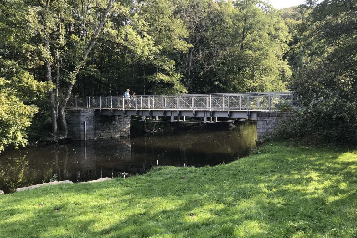 Passerelle Maria | Forêt subnaturelle | Belvédère | Habitat