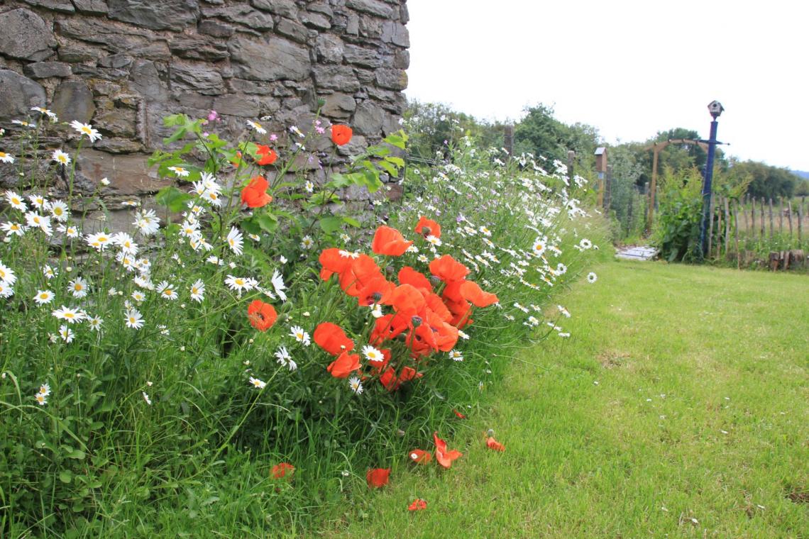 Jardin au Naturel  ©M. Gillet
