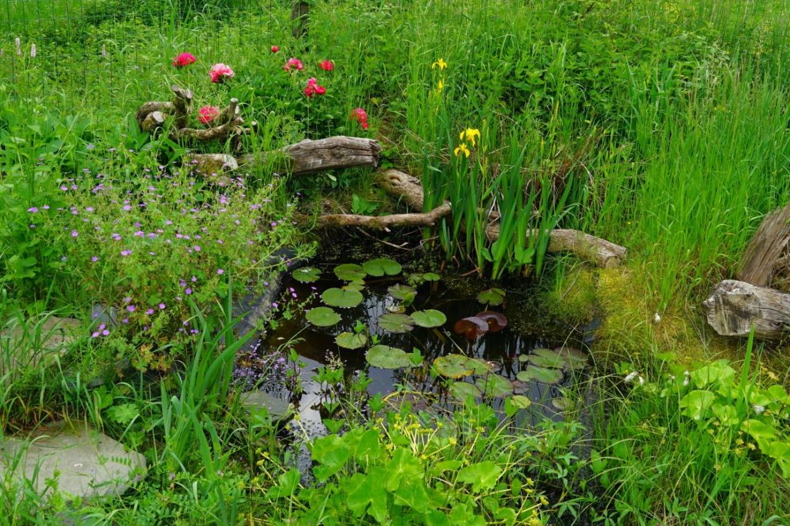 Jardin au Naturel  ©M. Gillet
