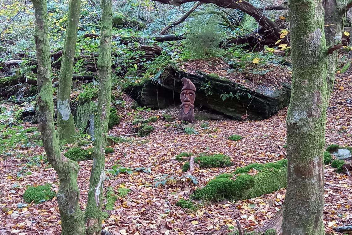 Bois des Nutons, Our, Paliseul, ardenne meridionale