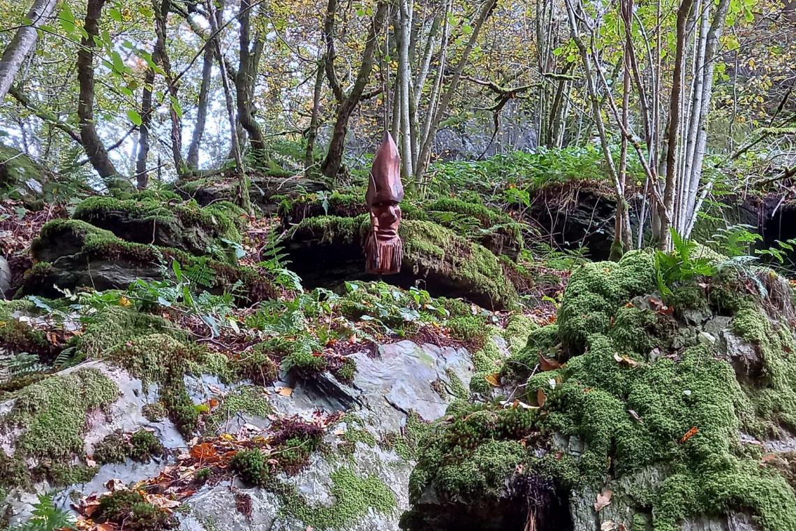Bois des Nutons, Our, Paliseul, ardenne meridionale