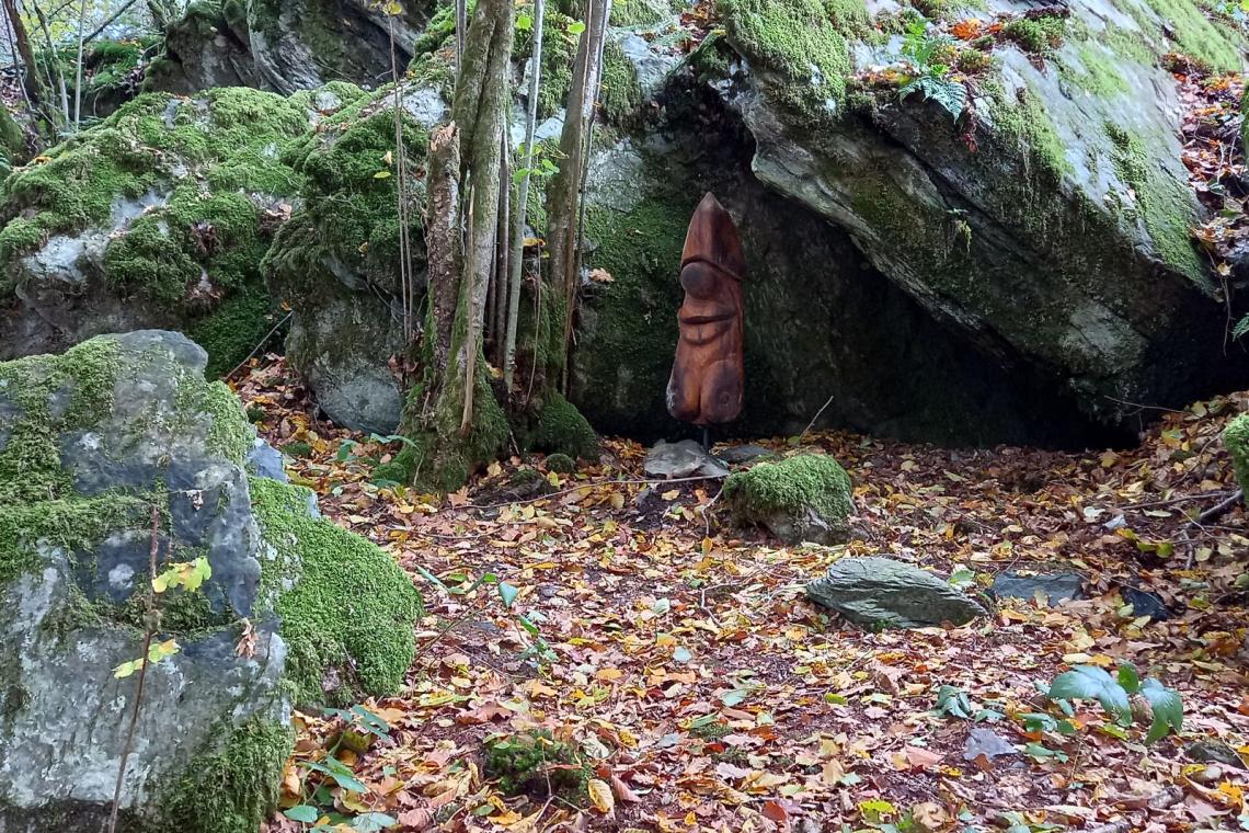 Bois des Nutons, Our, Paliseul, ardenne meridionale