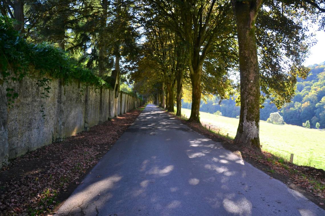 Arrêts Verts, randonnée, itinéraire, gare, sncb, Ardenne méridionale, Parc naturel, zéro carbone, TEC, Bouillon, Paliseul, Tombeau du géant