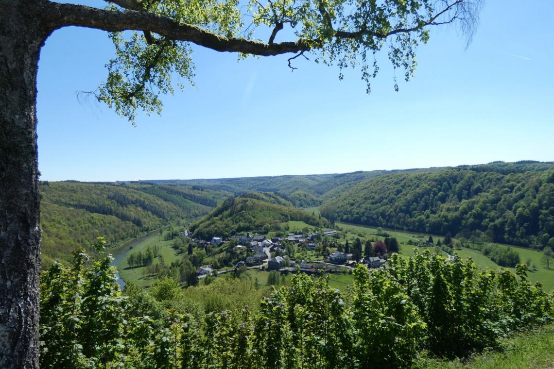 Point de vue de Frahan | © FTLB