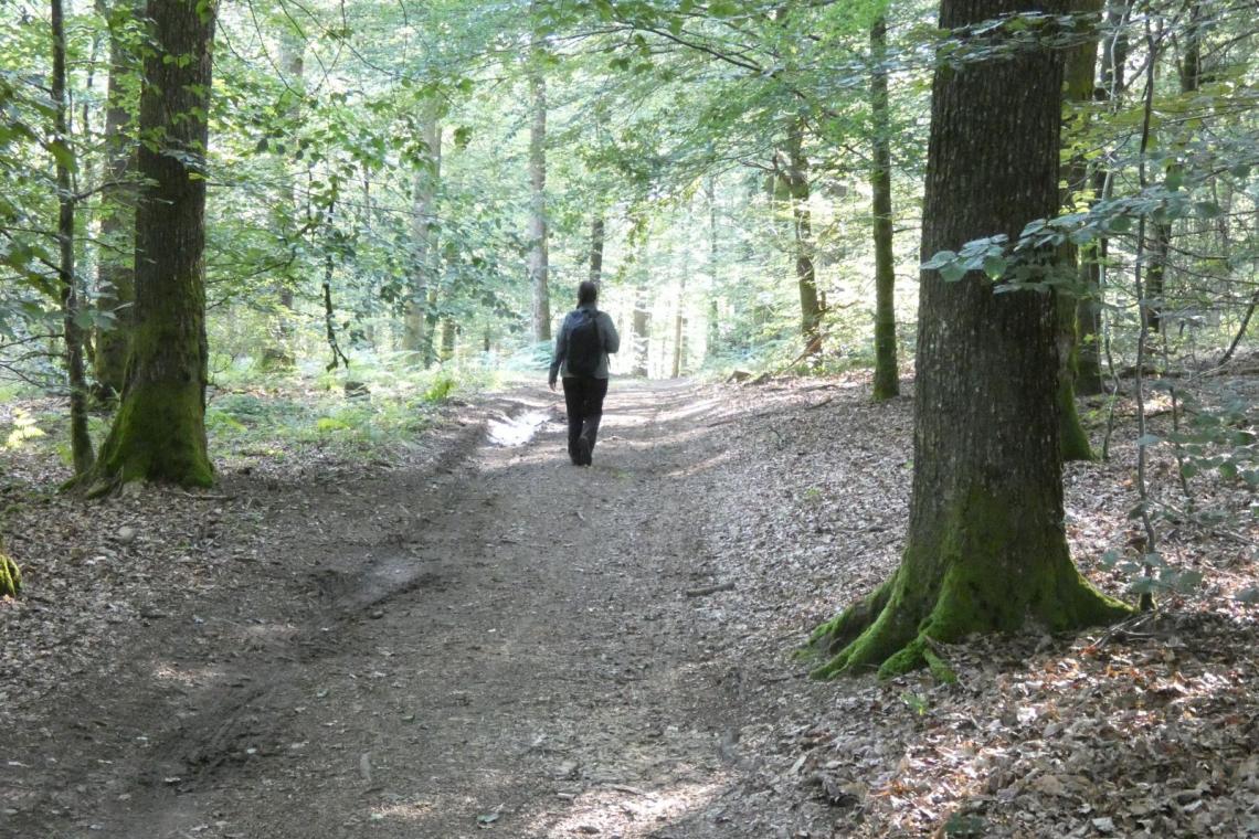 Tests terrain pour les rando de gare en gare - Parc naturel de l'Ardenne Méridionale