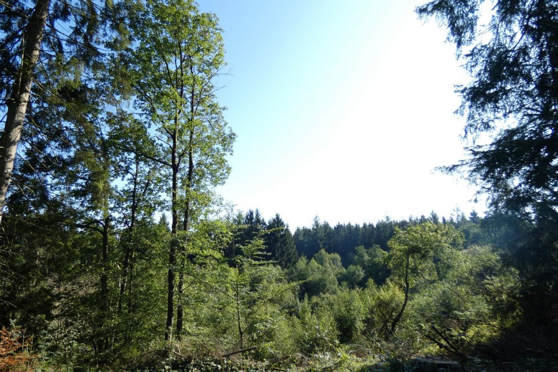 Tests terrain pour les rando de gare en gare - Parc naturel de l'Ardenne Méridionale