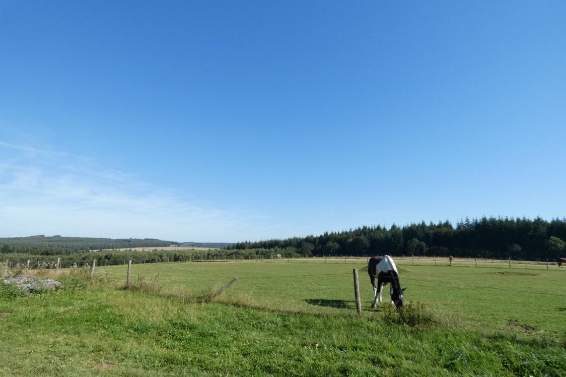 Tests terrain pour les rando de gare en gare - Parc naturel de l'Ardenne Méridionale