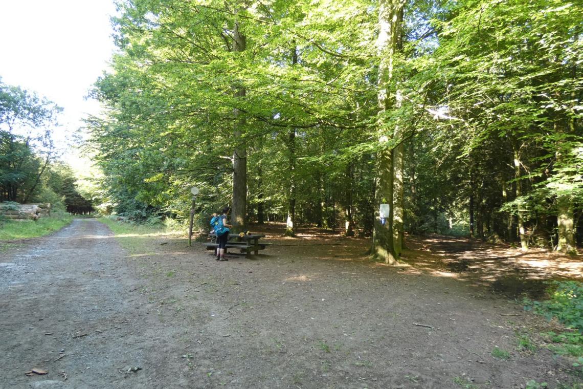 Tests terrain pour les rando de gare en gare - Parc naturel de l'Ardenne Méridionale