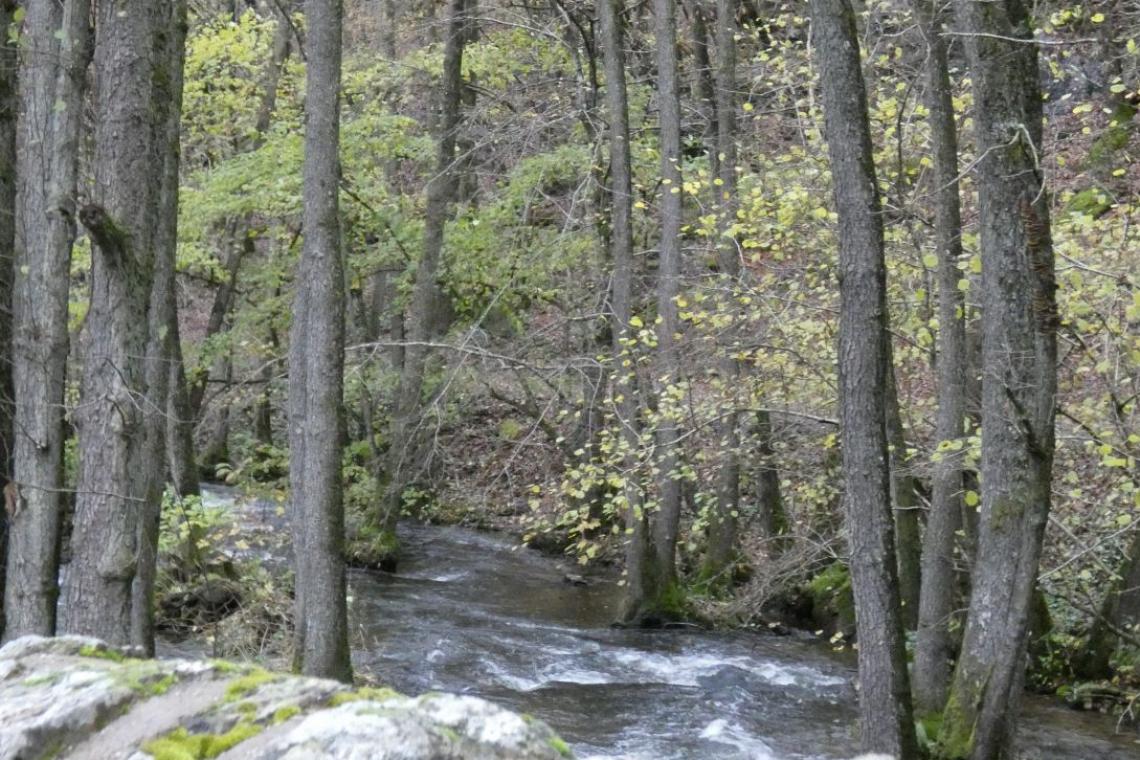 Grupont - Graide - Parc naturel de l'Ardenne Méridionale