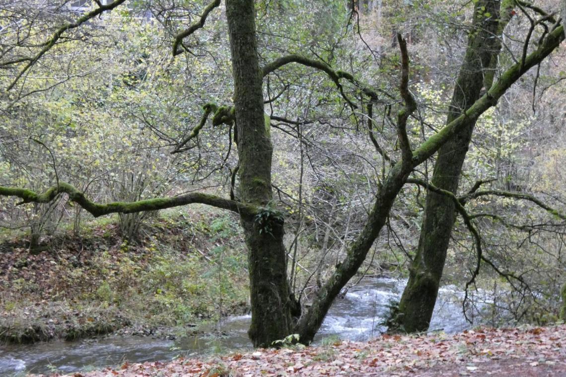 Grupont - Graide - Parc naturel de l'Ardenne Méridionale