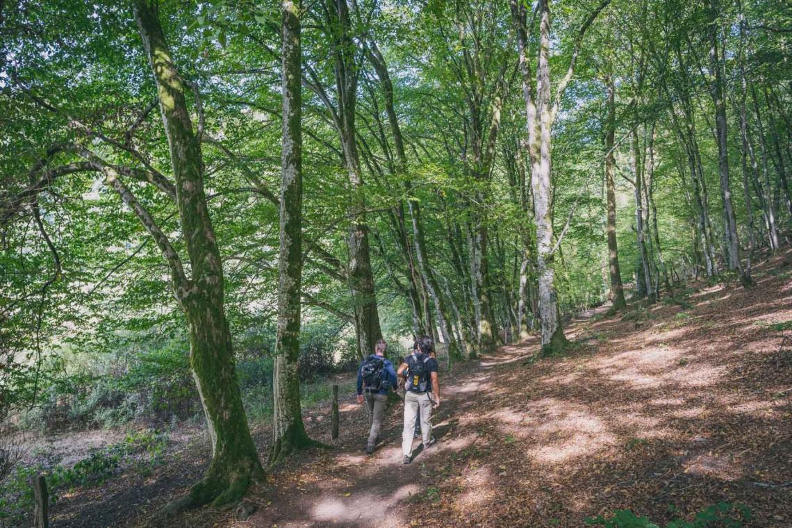 Point de vue du Mergyre - ©Chapelle : M. Gillet