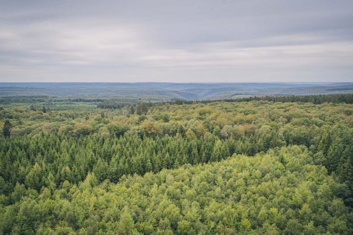 Le massif de la Croix-Scaille au fil des saisons | Tour du millénaire