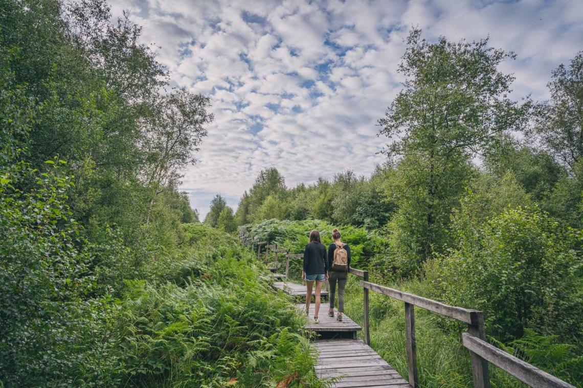 Réserve naturelle de la Fange de l'abime | Willerzie |La Houille ©S. De Gheselle