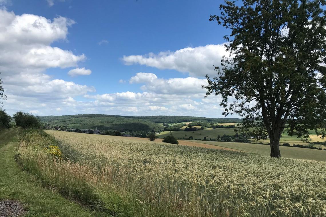 Daverdisse, Porcheresse, Haut-Fays, Almache, Lesse, Ardenne, forêts, prairie