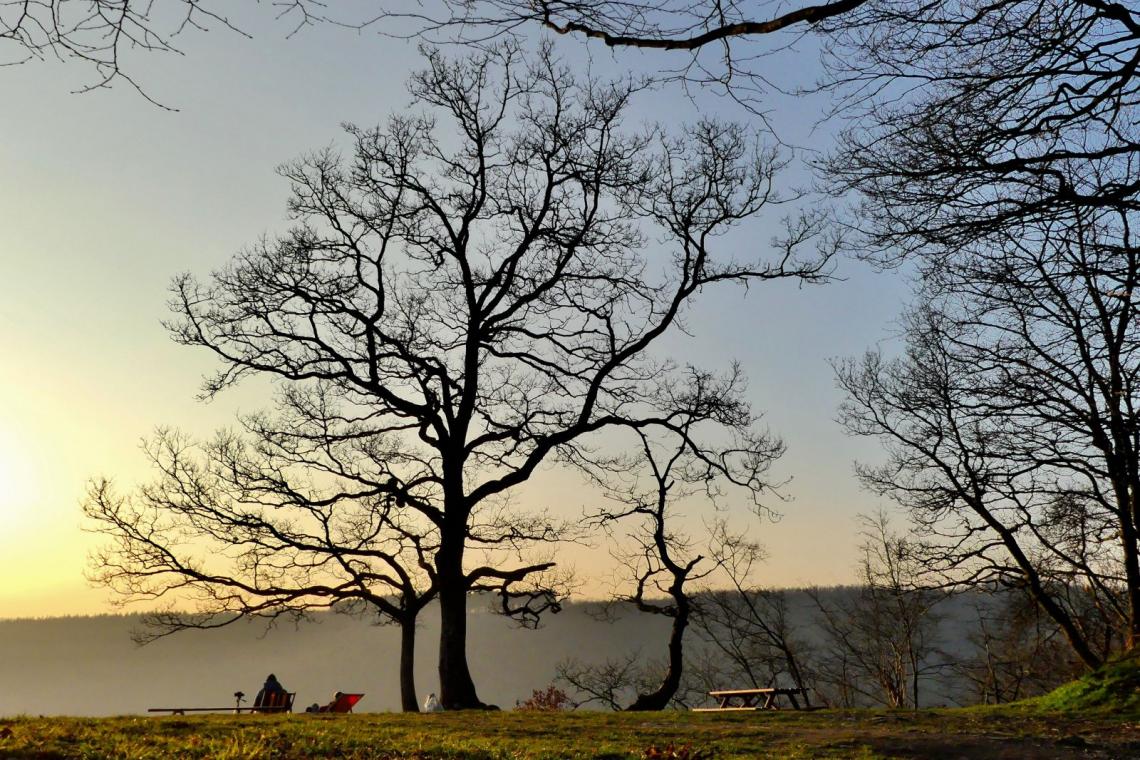 Jambon de la Semois | 'Le point de vue sous la brume' et 'Deux personnes au crépuscule' (© T. Gridlet)