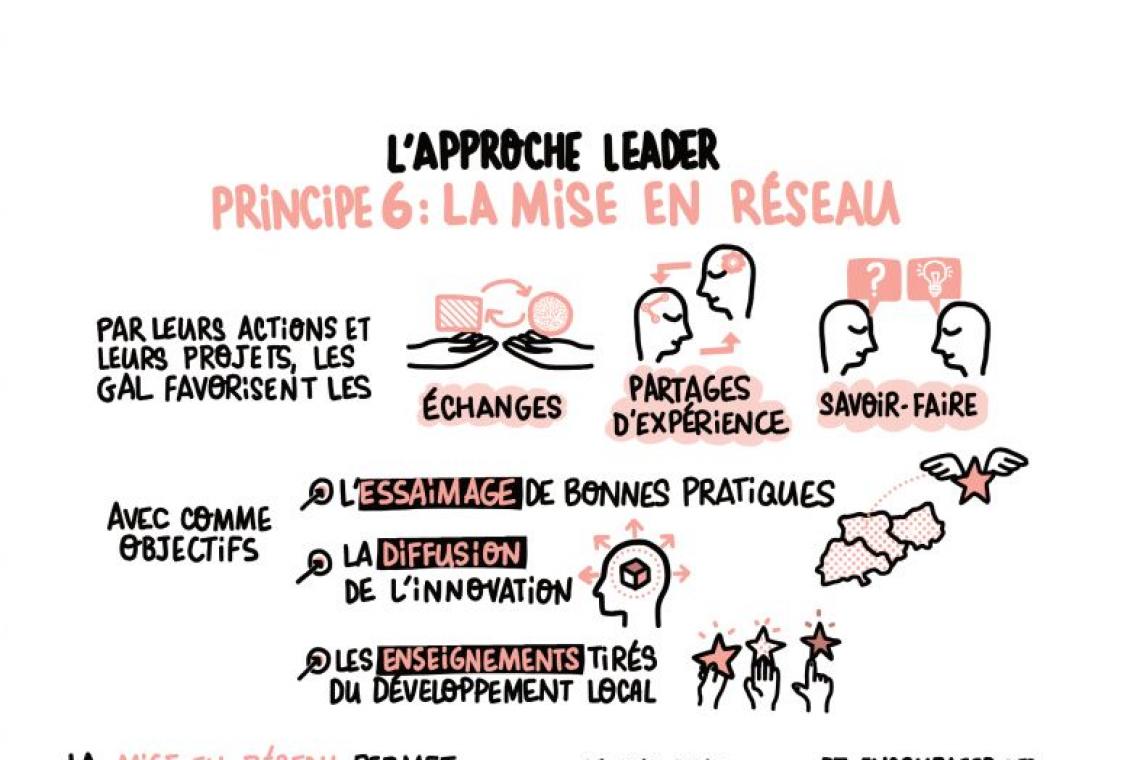 Leader, GAL, Groupe d'action locale