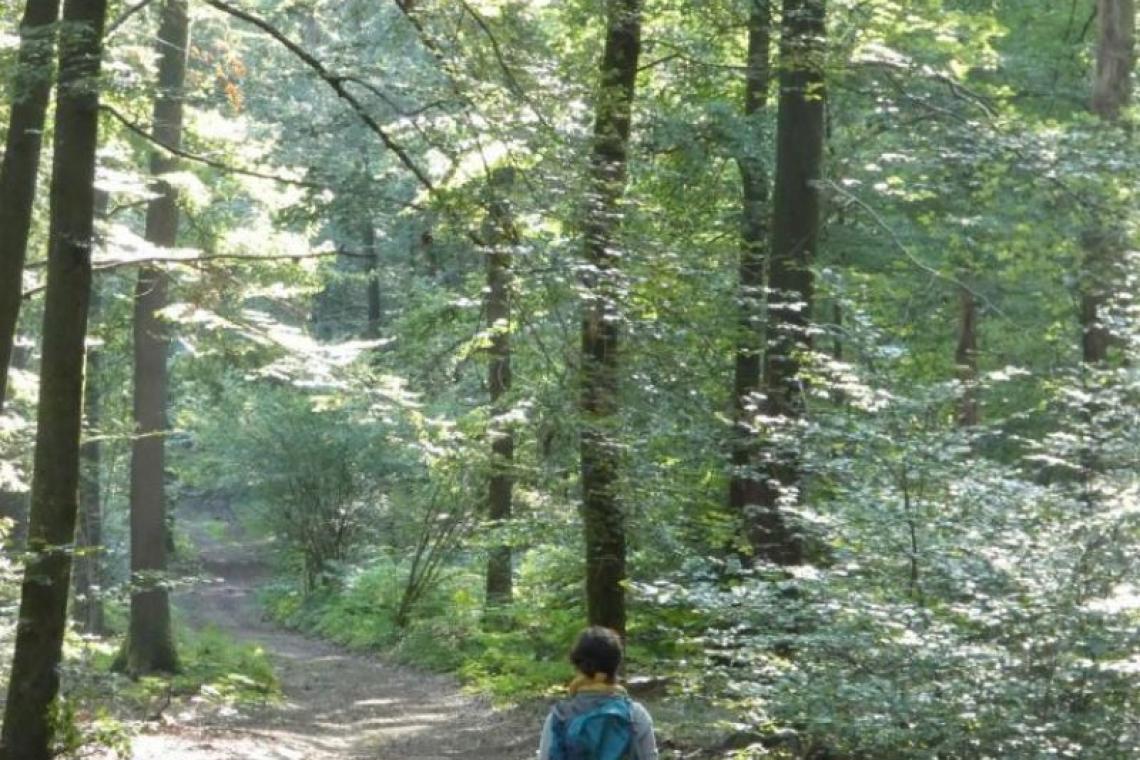 Tests terrain pour les rando de gare en gare - Parc naturel de l'Ardenne Méridionale