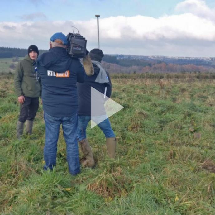 Sapins de Noël : comment rendre la filière plus durable ? - Revue de presse GAL Ardenne Meridionale