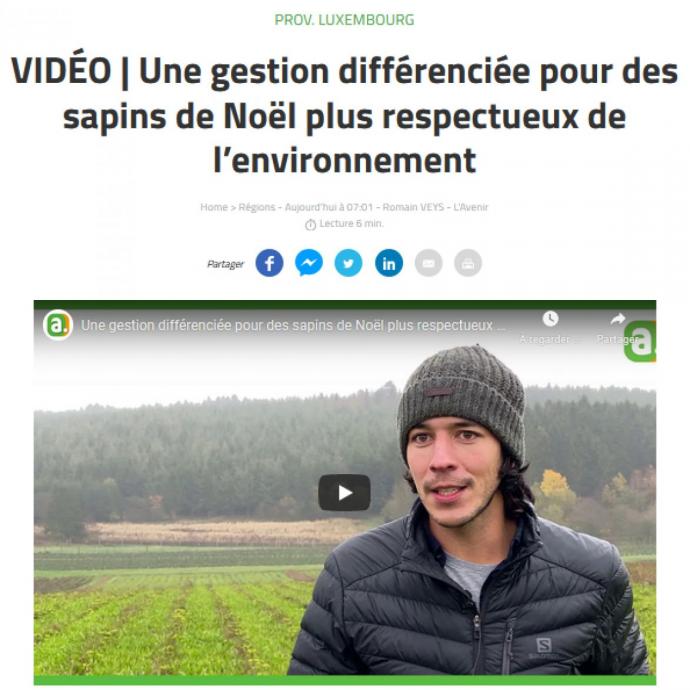 Une gestion différenciée pour des sapins de Noël plus respectueux de l’environnement - Revue de presse GAL Ardenne Meridionale